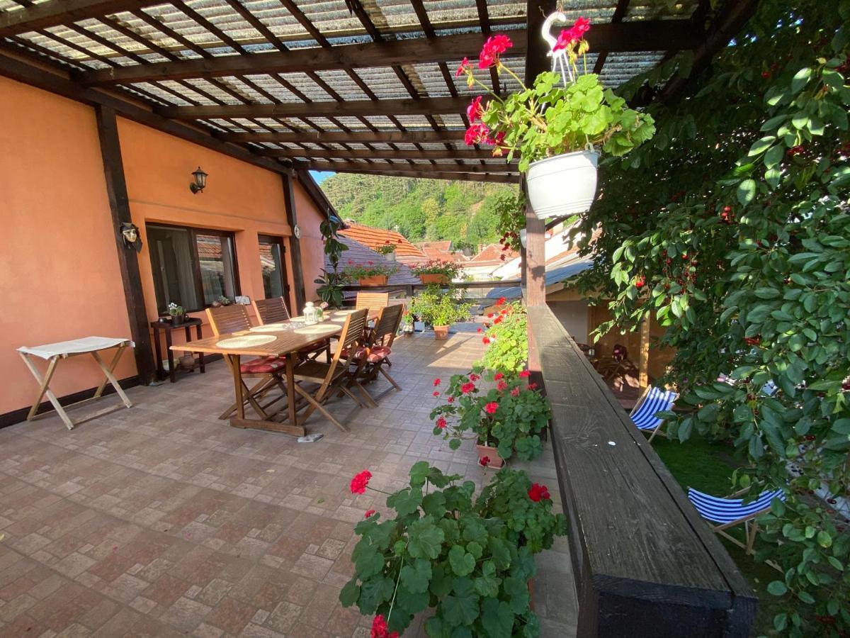 Victoria Gasthaus Rasnov - Charming Vacation House In Rasnov Eksteriør billede