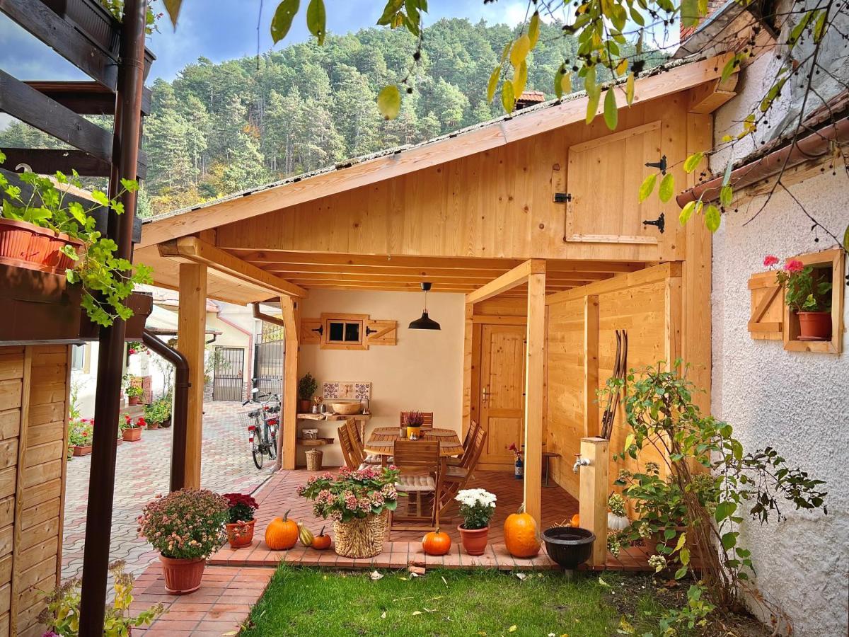 Victoria Gasthaus Rasnov - Charming Vacation House In Rasnov Eksteriør billede