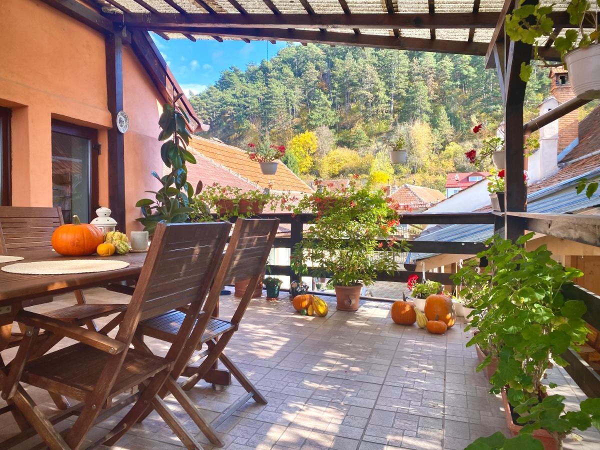 Victoria Gasthaus Rasnov - Charming Vacation House In Rasnov Eksteriør billede